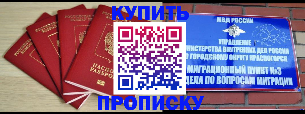 пропишу в квартире в Гвардейске